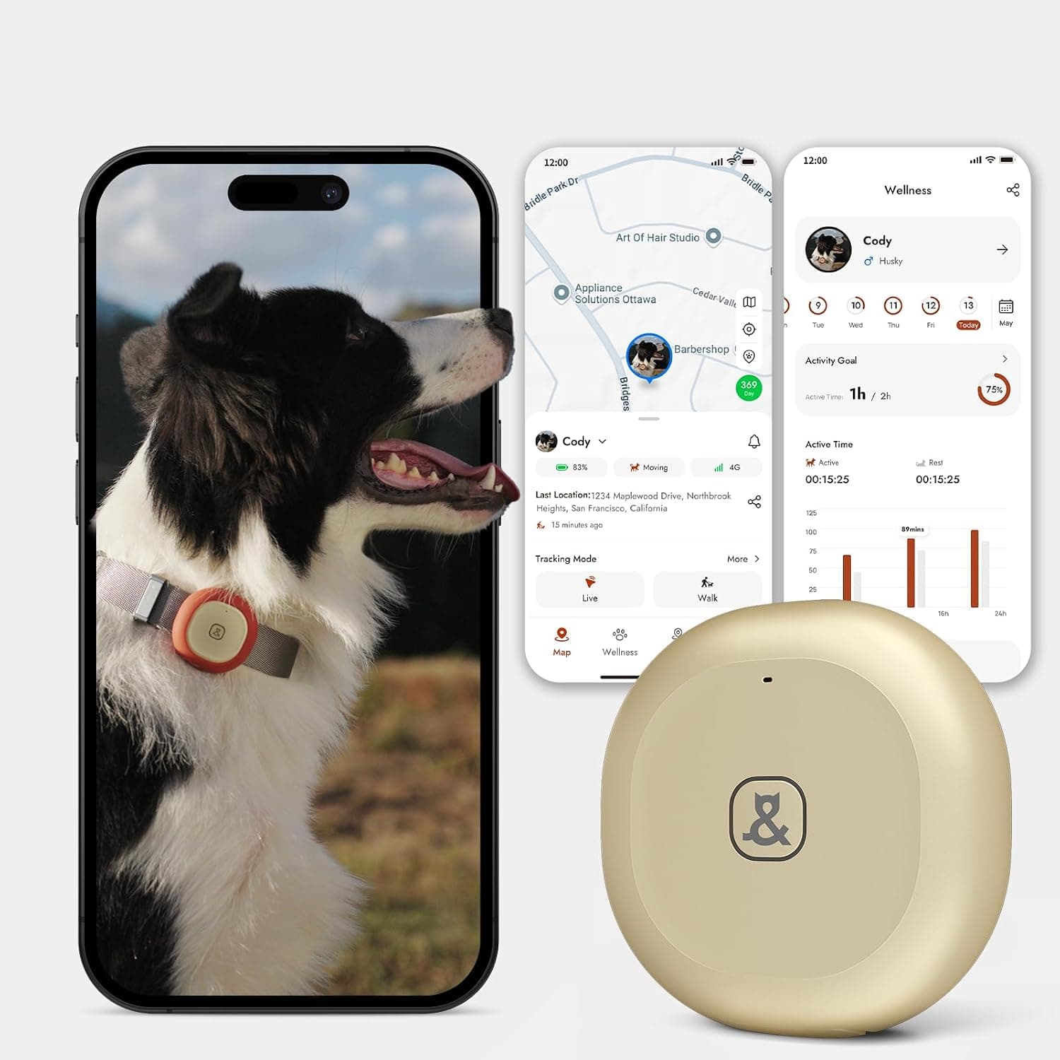 Never Lose Your Pet Again with This Smart GPS Tracker